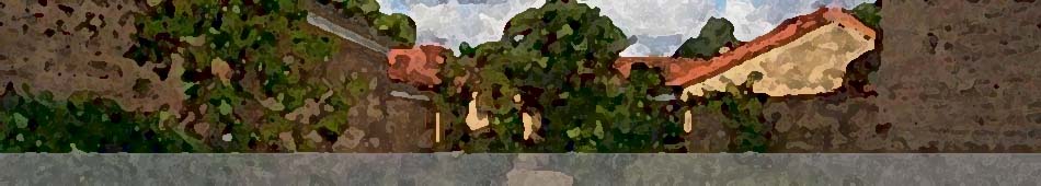 header-bg.jpg